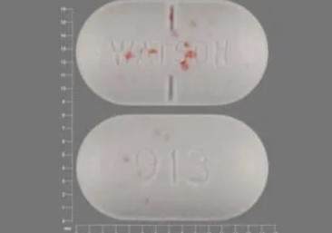 WATSON 913 (Norco 325 mg / 5 mg)